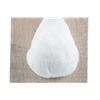 Image 3 : Domestic Farm Muscovy Duck Breast Mount Taxidermy
