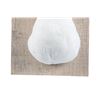 Image 4 : Domestic Farm Muscovy Duck Breast Mount Taxidermy