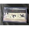 Image 9 : 2004 Royal Canadian Mint Specimen Coin Set With Case