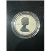 Image 11 : 2013 Silver Maple Leaf Fractional Set, 5 Coins, .9999 Silver