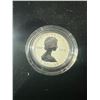 Image 12 : 2013 Silver Maple Leaf Fractional Set, 5 Coins, .9999 Silver