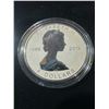 Image 9 : 2013 Silver Maple Leaf Fractional Set, 5 Coins, .9999 Silver
