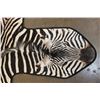 Image 3 : ZEBRA Hide Rug with Leather Piping