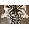 Image 4 : ZEBRA Hide Rug with Leather Piping