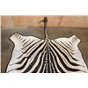 Image 5 : ZEBRA Hide Rug with Leather Piping