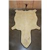 Image 6 : ZEBRA Hide Rug with Leather Piping