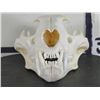Image 5 : *TEXAS RESIDENTS ONLY* XL LEOPARD Skull with All its Teeth and a Wired Jaw