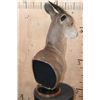 Image 6 : *Rarely Seen* XXL YELLOW-BACKED DUIKER Table Pedestal