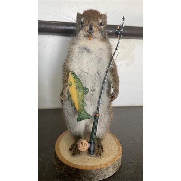 *New* Life-sized Fishing SQUIRREL with his Rod, Reel, and "Catch" a little Fish