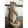 Image 2 : *New* Life-sized Fishing SQUIRREL with his Rod, Reel, and "Catch" a little Fish