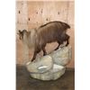 Image 6 : Big Life-sized TAHR on a Rocky Base with Wheels