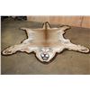 Image 1 : MOUNTAIN LION or COUGAR Hide Rug with Double Felted Backing
