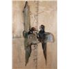 Image 1 : 2 "Fighting" Melanistic PHEASANTS or BLACK PHEASANTS on Driftwood