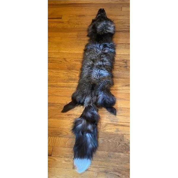*New* Soft, and Tanned SILVER RANCH FOX Fur, Hide, or Pelt