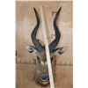 Image 6 : Big SITATUNGA Shoulder Mount