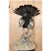 Image 8 : Life-sized Oscillated TURKEY on a Decorative Base