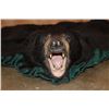 Image 2 : Big BLACK BEAR Rug with its Head and a Double Felted Backing