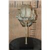 Image 5 : Reproduction SABRE TOOTH TIGER Skull on a Display Stand