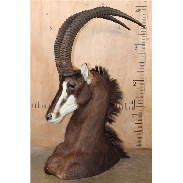 Big SABLE Floor or Table Pedestal Mount