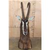 Image 3 : Big SABLE Floor or Table Pedestal Mount
