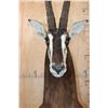 Image 4 : Big SABLE Floor or Table Pedestal Mount