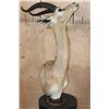 Image 2 : GERENUK Table Pedestal Mount
