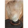 Image 4 : GERENUK Table Pedestal Mount