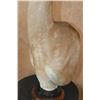 Image 5 : GERENUK Table Pedestal Mount