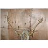 Image 2 : Huge 34-Point CARIBOU Shoulder Mount