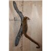 Image 3 : Life-sized COATIMUNDI Mounted on a Reproduction Branch