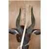 Image 5 : Massive BONGO Shoulder Mount