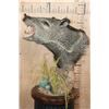 Image 3 : JAVELINA on a Wood Table Pedestal
