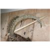 Image 4 : Massive MID-ASIAN IBEX Shoulder Mount