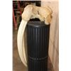 Image 5 : Huge XXL WALRUS Skull with Ivory Tusks