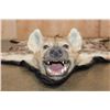 Image 2 : HYENA Rug with its Mounted Head and Double Felt Backing
