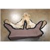 Image 6 : HYENA Rug with its Mounted Head and Double Felt Backing