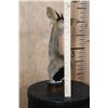 Image 6 : GUNTHER'S DIK-DIK Table Pedestal with a Marble and Wood Base
