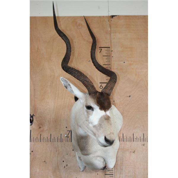 *TEXAS RESIDENTS ONLY* ADDAX Wall Pedestal Mount