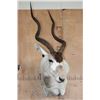 Image 1 : *TEXAS RESIDENTS ONLY* ADDAX Wall Pedestal Mount