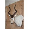 Image 2 : *TEXAS RESIDENTS ONLY* ADDAX Wall Pedestal Mount