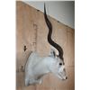 Image 3 : *TEXAS RESIDENTS ONLY* ADDAX Wall Pedestal Mount