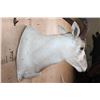 Image 4 : *TEXAS RESIDENTS ONLY* ADDAX Wall Pedestal Mount