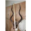 Image 6 : *TEXAS RESIDENTS ONLY* ADDAX Wall Pedestal Mount