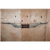 Image 6 : XXL Polished Set of TEXAS LONGHORNS with a "Texas Twist" and Tooled Leather Accents