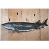 Image 1 : Huge Reproduction STURGEON Fish Mount