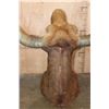 Image 8 : Big TEXAS LONGHORN Shoulder Mount with a "Texas Twist"