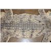 Image 6 : XXL CROCODILE Hide or CROCODILE Rug with its Mounted Head