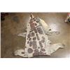 Image 9 : XXL CROCODILE Hide or CROCODILE Rug with its Mounted Head