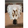 Image 6 : Huge CORSICAN RAM Sheep Skull on a Custom Metal Hanger
