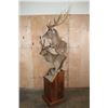 Image 2 : Big Double MANCHURIAN SIKA DEER Pedestal Mount with Wheels